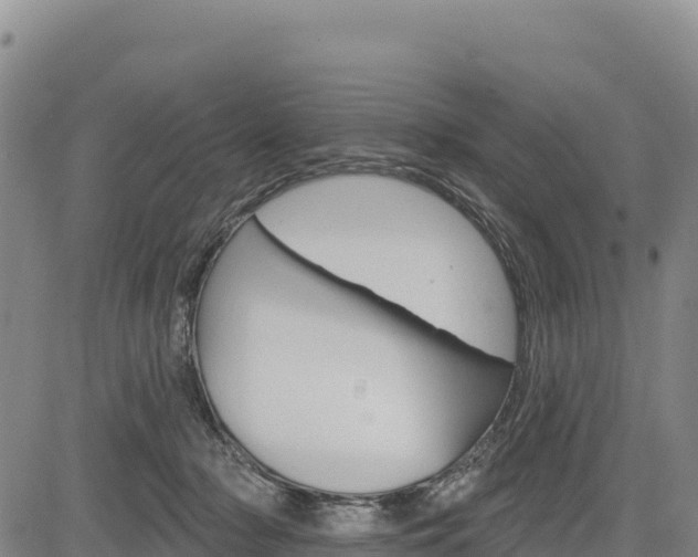 X0000083650318200702201441