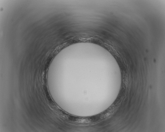 X0000083650319200702201441
