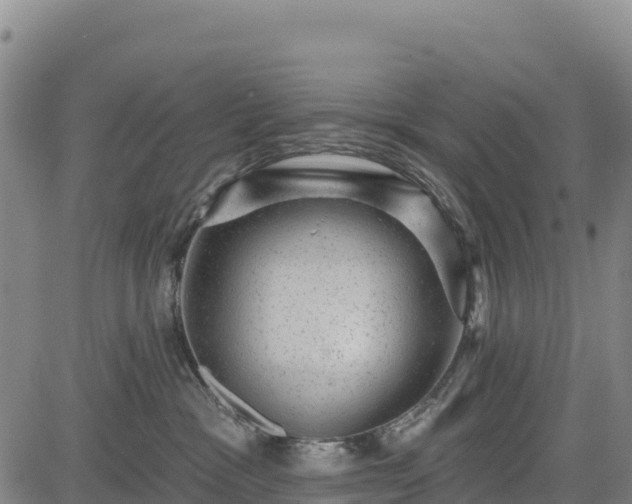 X0000083650333200702201440