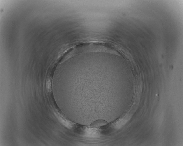 X0000083650336200702201440