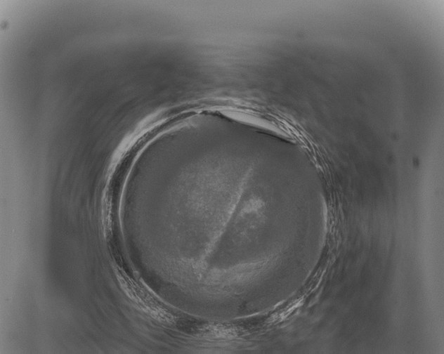 X0000083650343200702201440