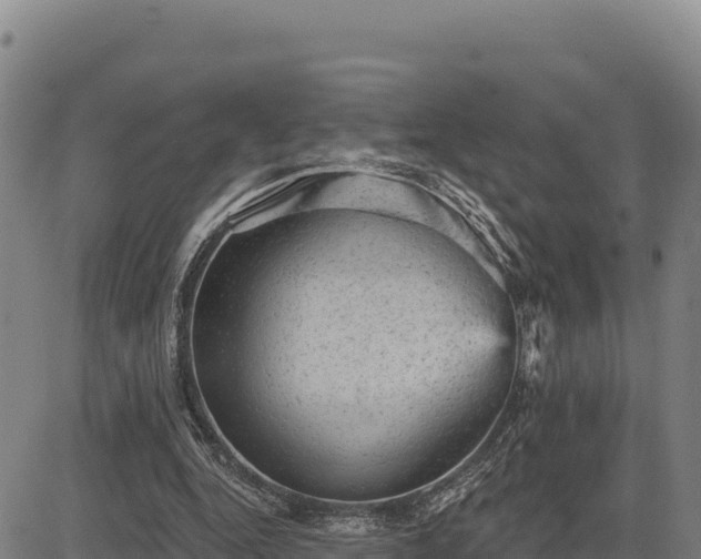 X0000083650344200702201440