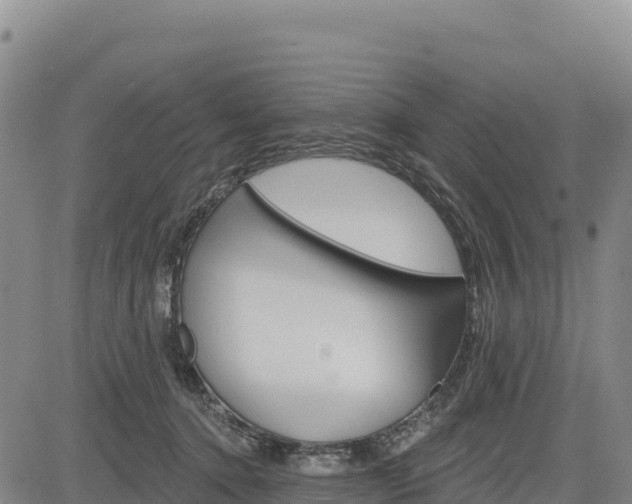 X0000083650368200702201440