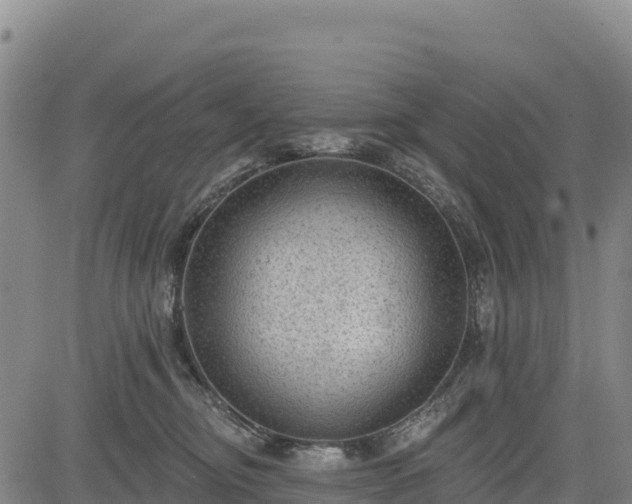 X0000083650374200702201440