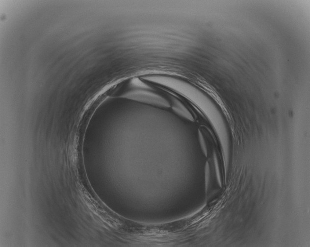 X0000083650387200702201439