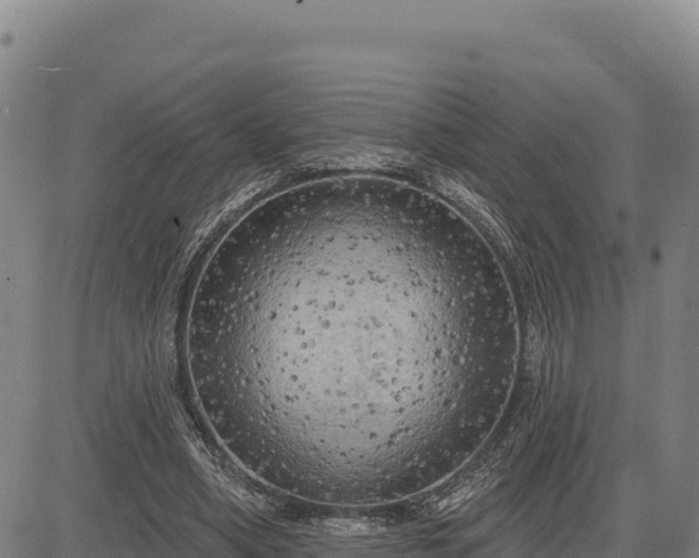 X0000083650394200702201439