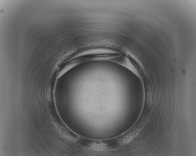 X0000083650403200702201439