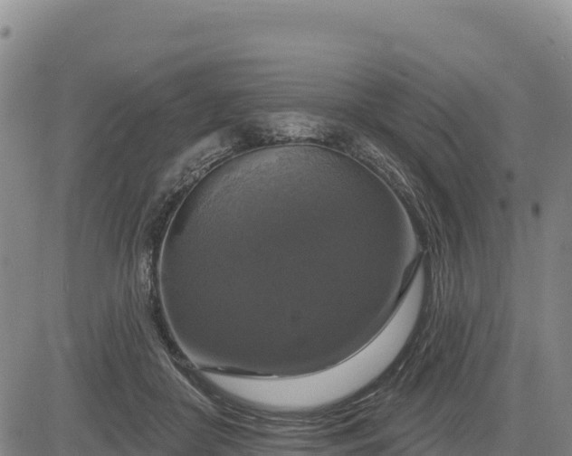 X0000083650410200702201439