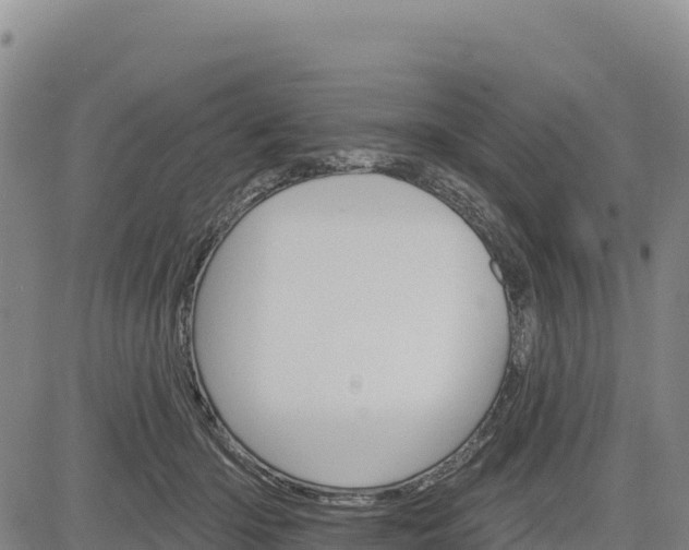 X0000083650414200702201439