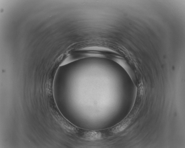 X0000083650421200702201439