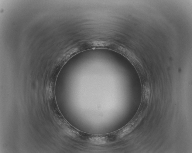 X0000083650422200702201439