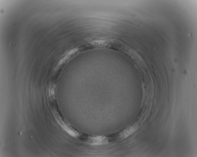 X0000083650432200702201439