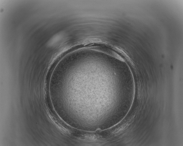 X0000083650439200702201438