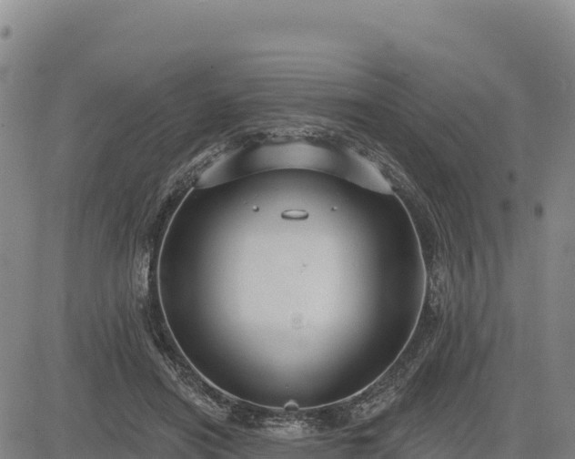 X0000083650454200702201438