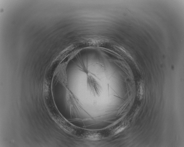 X0000083650456200702201438