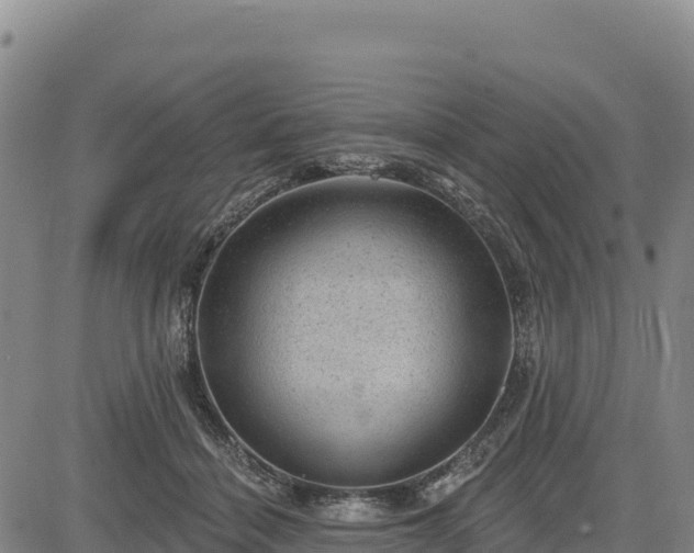 X0000083650460200702201438