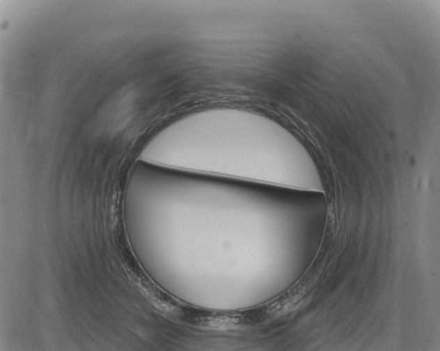 X0000083650462200702201438
