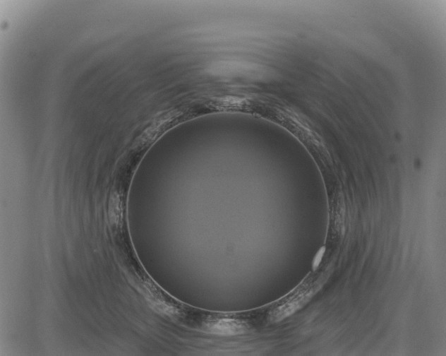 X0000083650467200702201438