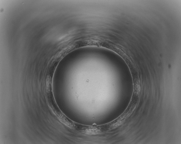 X0000083650468200702201438