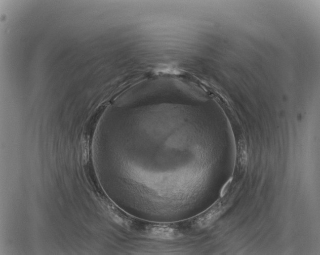 X0000083650471200702201439