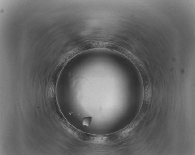 X0000083650474200702201439