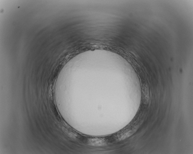 X0000083650511200702201437