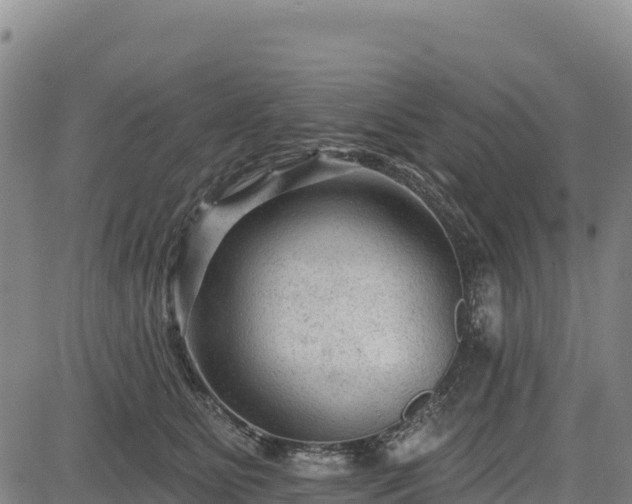X0000083650515200702201437