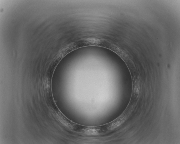 X0000083650518200702201437