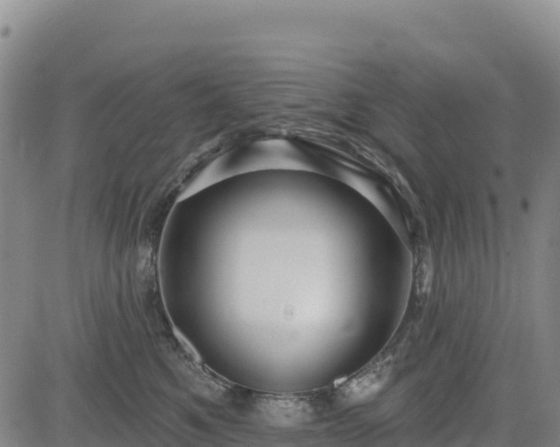 X0000083650521200702201437