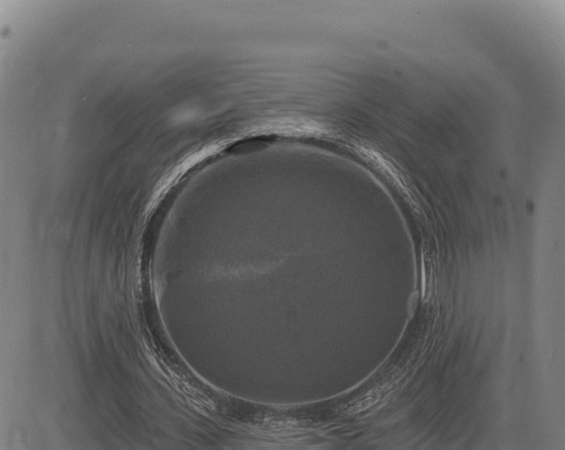 X0000083650531200702201436