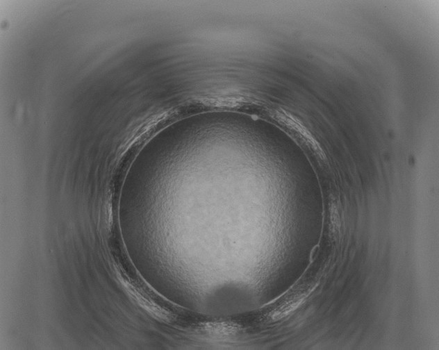 X0000083650541200702201436