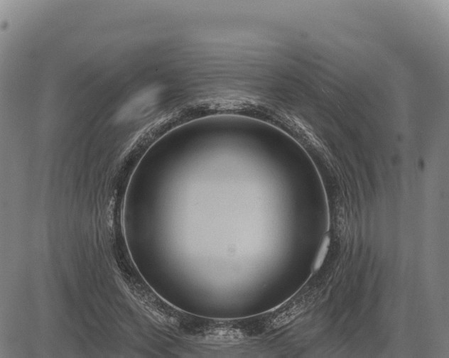 X0000083650543200702201437