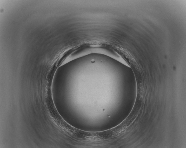 X0000083650544200702201437