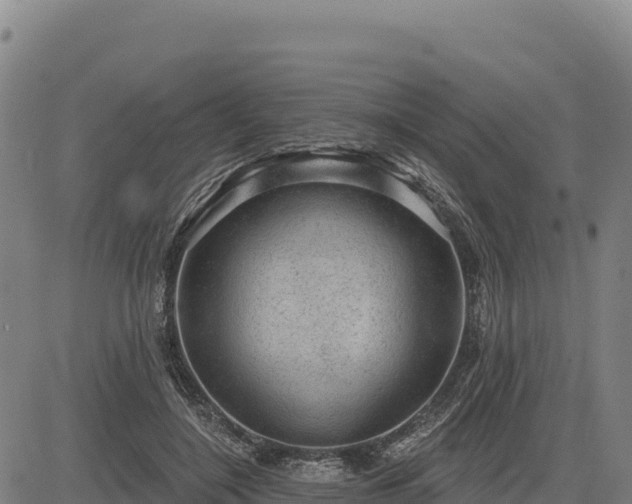 X0000083650548200702201437