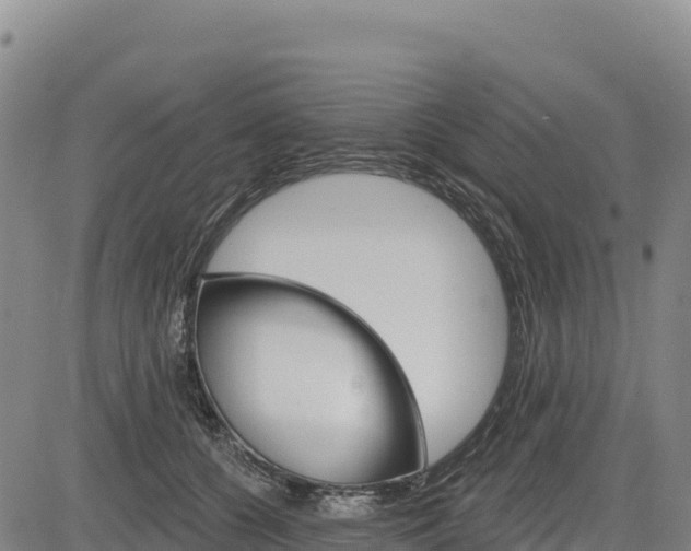X0000083650560200702201437