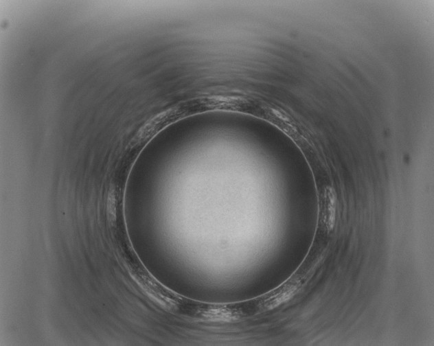 X0000083650562200702201437