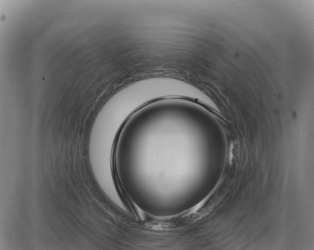 X0000083650564200702201437