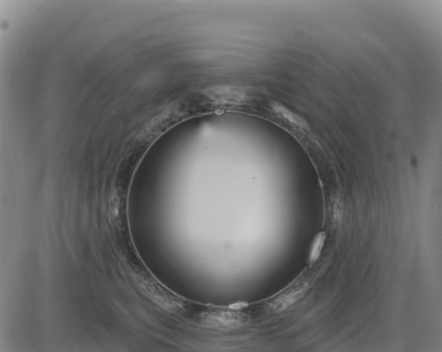 X0000083650567200702201437