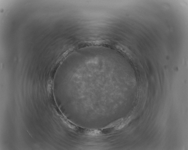 X0000083650576200702201437