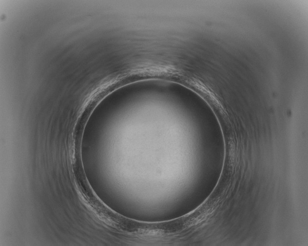 X0000083650582200702201436