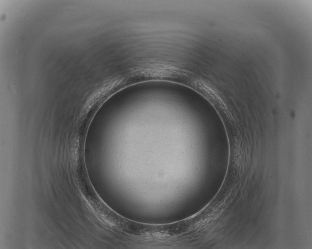 X0000083650586200702201436