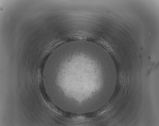 X0000083650594200702201436