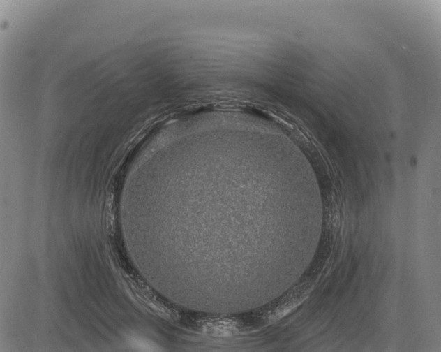 X0000083650599200702201436