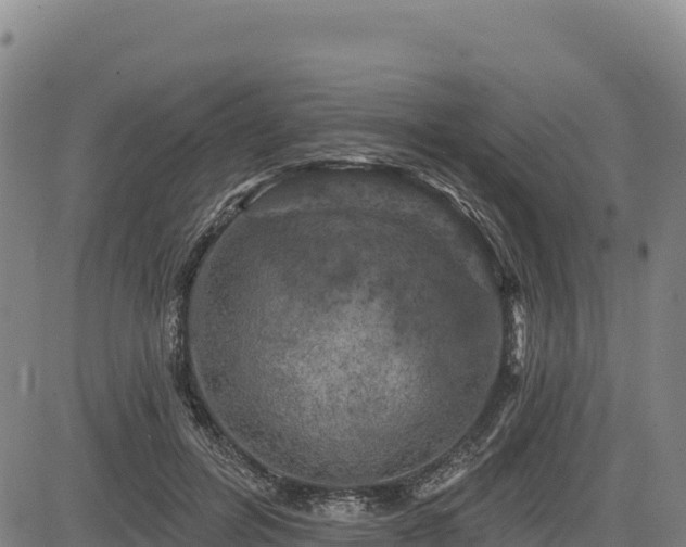 X0000083650600200702201436
