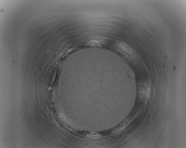 X0000083650603200702201436