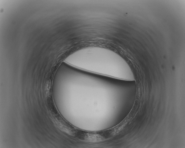 X0000083650605200702201436