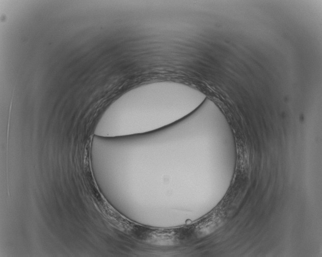 X0000083650606200702201436