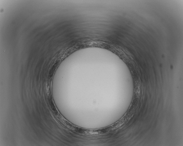 X0000083650607200702201436