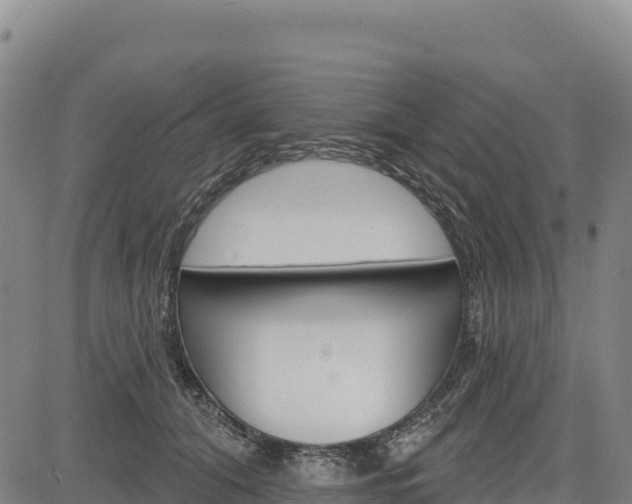 X0000083650608200702201436