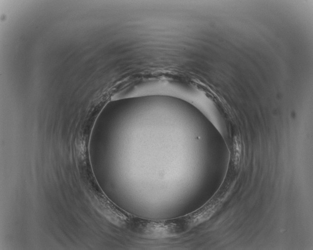 X0000083650613200702201436
